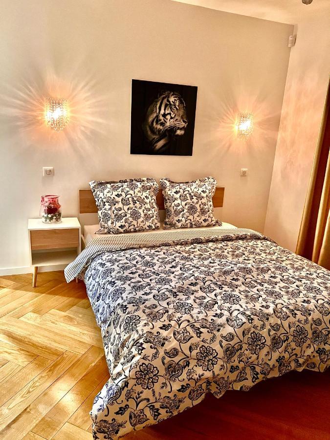 Alexandru Home 布瓦西-圣莱热 外观 照片